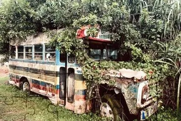 Autobus1 jigsaw puzzle
