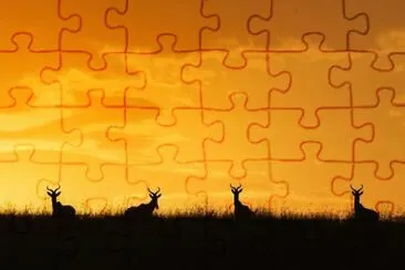 Nature jigsaw puzzle