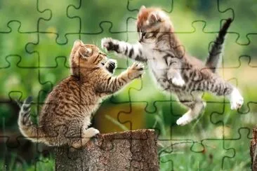 Kids Tigers jigsaw puzzle