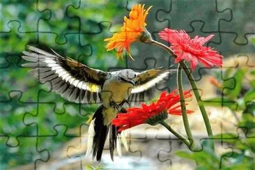 natural jigsaw puzzle