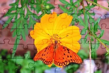 natural jigsaw puzzle