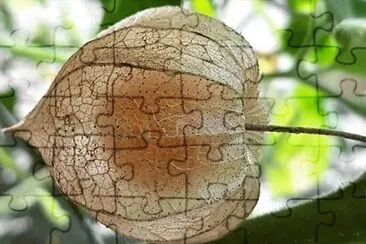 natural