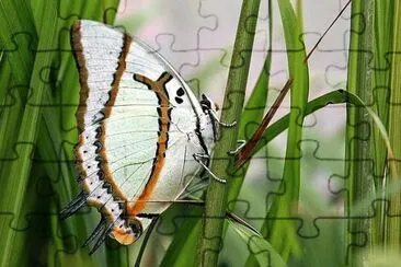natural