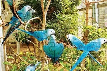 natural jigsaw puzzle