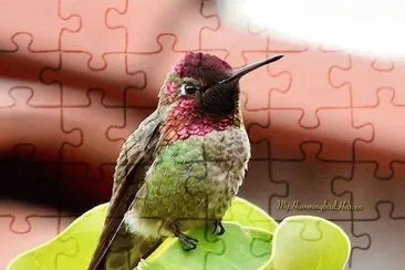 natural jigsaw puzzle