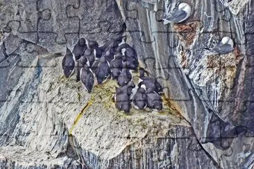 island jigsaw puzzle