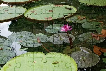 AmazÃ´nia 2 jigsaw puzzle