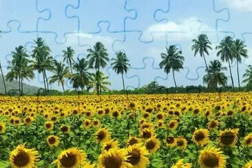 EPardillo jigsaw puzzle