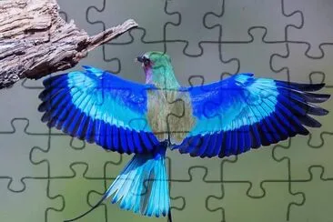 פאזל של natural