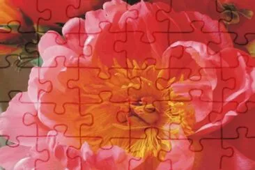 Flowers jigsaw puzzle