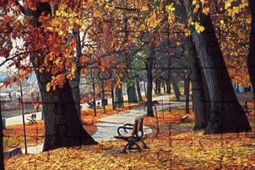 naturaleza jigsaw puzzle