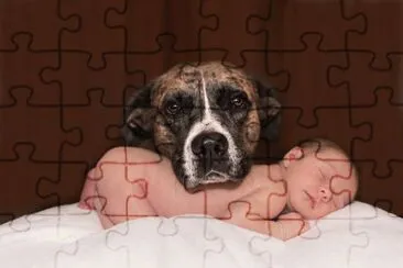 CUIDANDO jigsaw puzzle