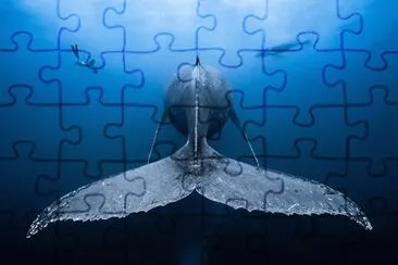 Blue Whale jigsaw puzzle