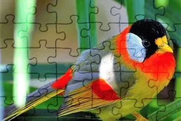 natural jigsaw puzzle