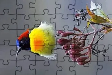 natural jigsaw puzzle