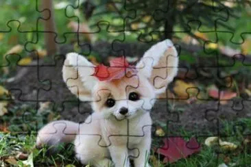 Kawai Fox