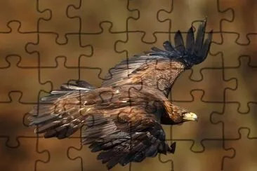 Eagle jigsaw puzzle