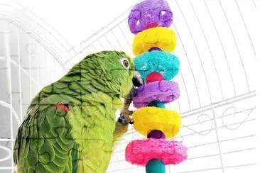 Parrot jigsaw puzzle