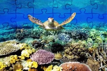Australia jigsaw puzzle