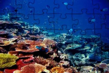Australia jigsaw puzzle