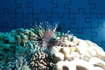 Australia jigsaw puzzle