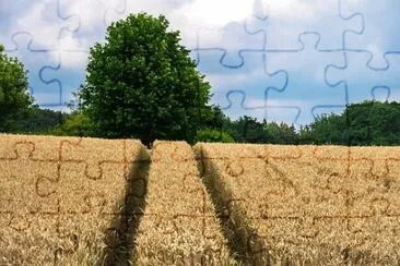 Imagem jigsaw puzzle
