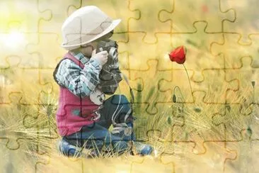 Imagem jigsaw puzzle