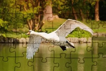 Imagem jigsaw puzzle