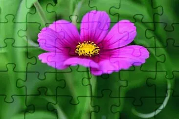 OK jigsaw puzzle