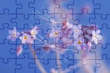 OK jigsaw puzzle