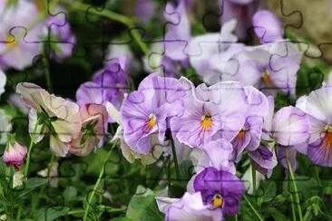 OK jigsaw puzzle