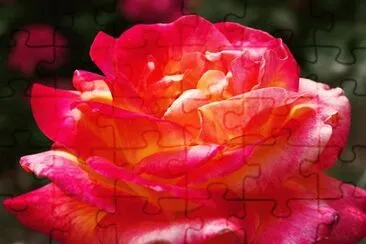 OK jigsaw puzzle