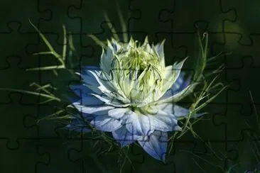 OK jigsaw puzzle