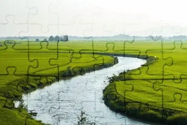 Imagem jigsaw puzzle