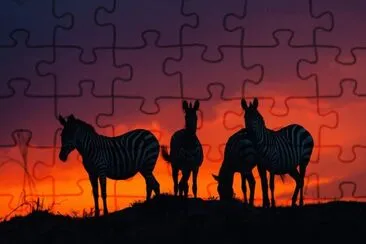 ZÃ¨bres jigsaw puzzle