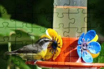 Imagem jigsaw puzzle