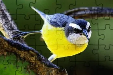 Imagem jigsaw puzzle