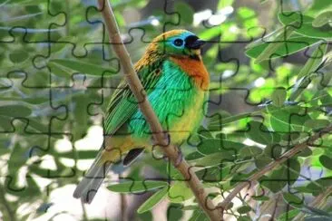 Imagem jigsaw puzzle
