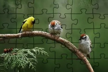 Imagem jigsaw puzzle