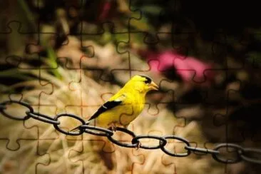 Imagem jigsaw puzzle