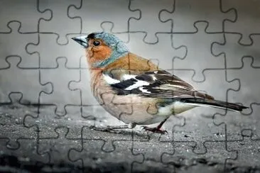 OK jigsaw puzzle