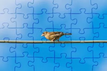 Imagem jigsaw puzzle