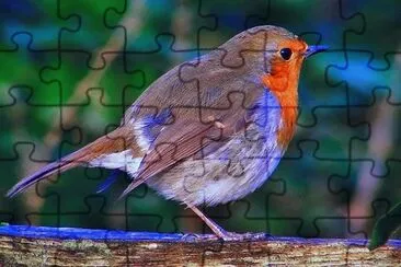 Imagem jigsaw puzzle