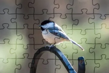Imagem jigsaw puzzle