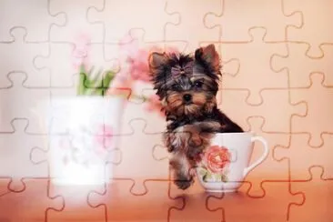 Dog jigsaw puzzle