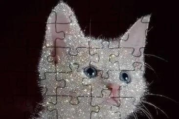 minino jigsaw puzzle