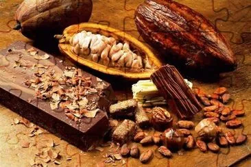 Cacau jigsaw puzzle