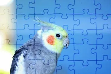 Imagem jigsaw puzzle