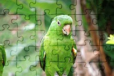 Imagem jigsaw puzzle
