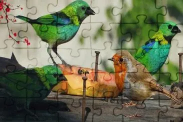 Imagem jigsaw puzzle